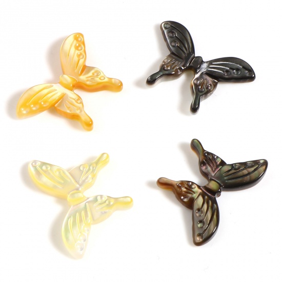 Immagine di Insetto Conchiglia Sciolto Perline Farfalla Multicolore Lunghezza: 20mm, Larghezza: 14mm, 1 Pz