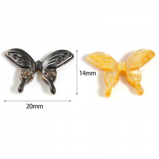昆虫 天然 シェル ビーズ 蝶 多色 約 20mmx 14mm、 1 個 の画像