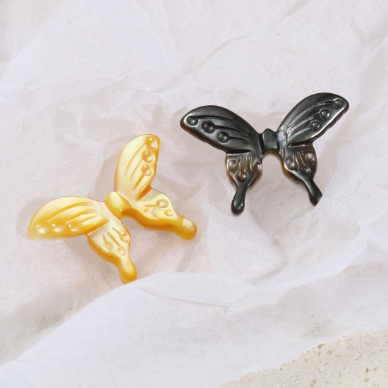 Image de Perles Insecte en Coquille Papillon Multicolore 20mm x 14mm, 1 Pièce