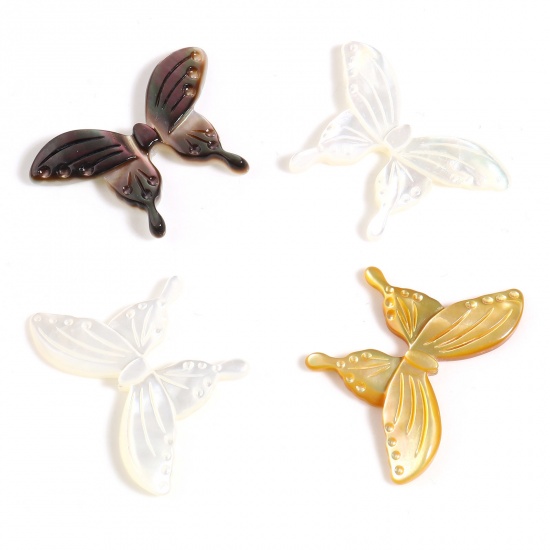 Picture of Insect Natural Shell Loose Beads Butterfly Animal Multicolor About 30mm x 20mm, 1 Piece