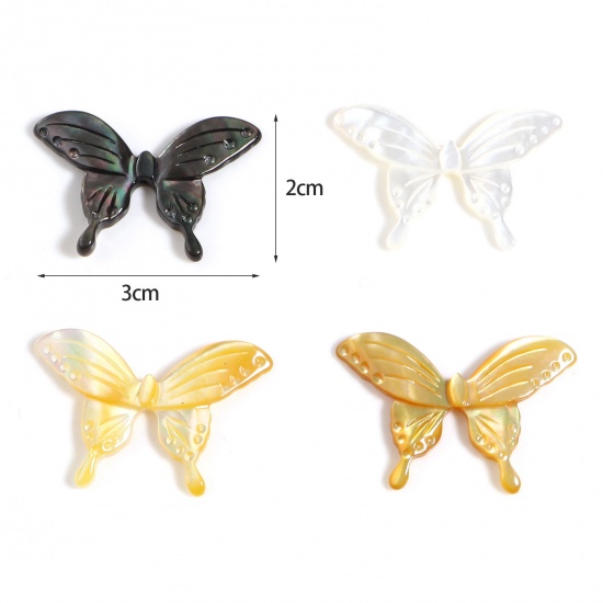 昆虫 天然 シェル ビーズ 蝶 多色 約 30mmx 20mm、 1 個 の画像