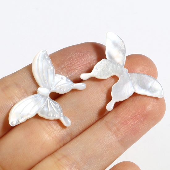Picture of Insect Natural Shell Loose Beads Butterfly Animal Multicolor About 30mm x 20mm, 1 Piece
