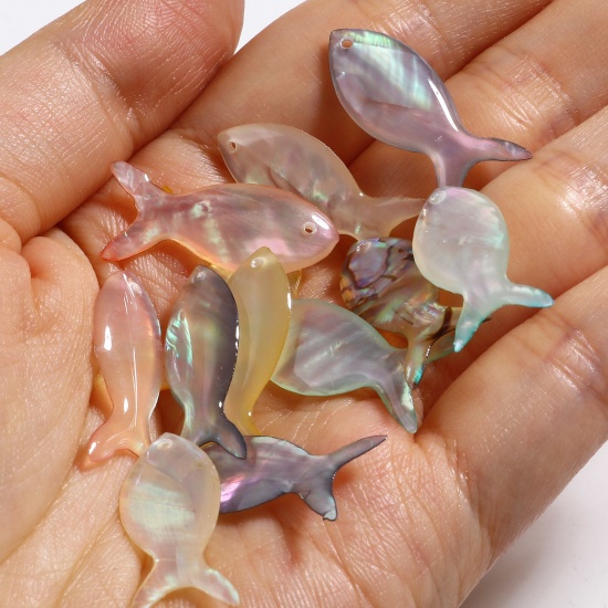 Picture of Natural Shell Ocean Jewelry Charms Fish Animal Multicolor 25mm x 10mm, 2 PCs