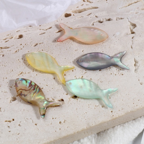 Immagine di Naturale Conchiglia Gioielli Oceanici Charms Pesce Multicolore 25mm x 10mm, 2 Pz