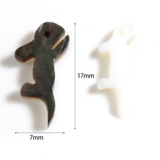 Immagine di Conchiglia Sciolto Perline Coniglio Multicolore Lunghezza: 17mm, Larghezza: 7mm, 5 Pz