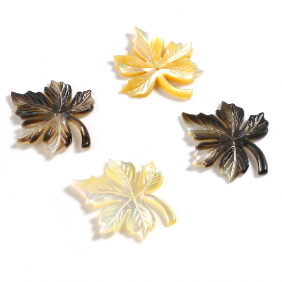 Picture of Natural Shell Pendants Maple Leaf Multicolor 30mm x 25mm, 1 Piece