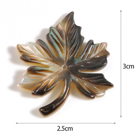 Picture of Natural Shell Pendants Maple Leaf Multicolor 30mm x 25mm, 1 Piece