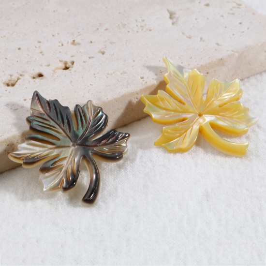 Immagine di Naturale Conchiglia Ciondoli Foglia d'Acero Multicolore 30mm x 25mm, 1 Pz