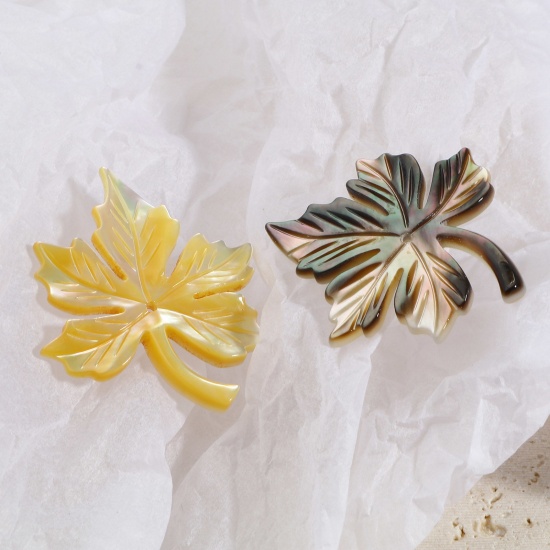 Immagine di Naturale Conchiglia Ciondoli Foglia d'Acero Multicolore 30mm x 25mm, 1 Pz