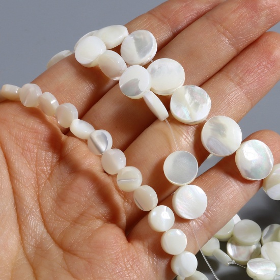 Picture of Natural Shell Loose Beads Flat Round Creamy-White 1 Strand