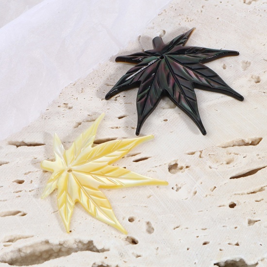 Immagine di Naturale Conchiglia Ciondoli Foglia d'Acero Multicolore 30mm x 26mm, 1 Pz