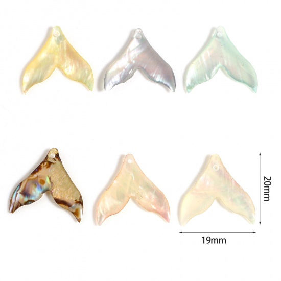 Picture of Natural Shell Charms Fishtail Multicolor 20mm x 19mm, 2 PCs