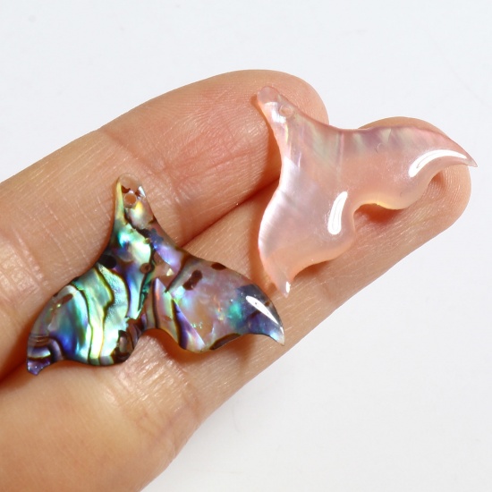Picture of Natural Shell Charms Fishtail Multicolor 25mm x 19mm, 2 PCs