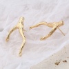 Bild von Messing Ohrring Ohrstecker 18K Echtgold plattiert Zweig 2 Stück