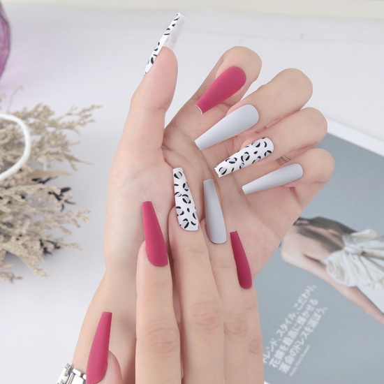 Image de Colle plastique givrée imprimé léopard sur faux ongles décoration Nail Art