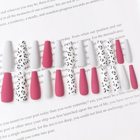 Image de Colle plastique givrée imprimé léopard sur faux ongles décoration Nail Art