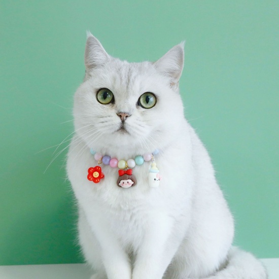 Picture of Acrylic Pet Collar Multicolor 1 Piece