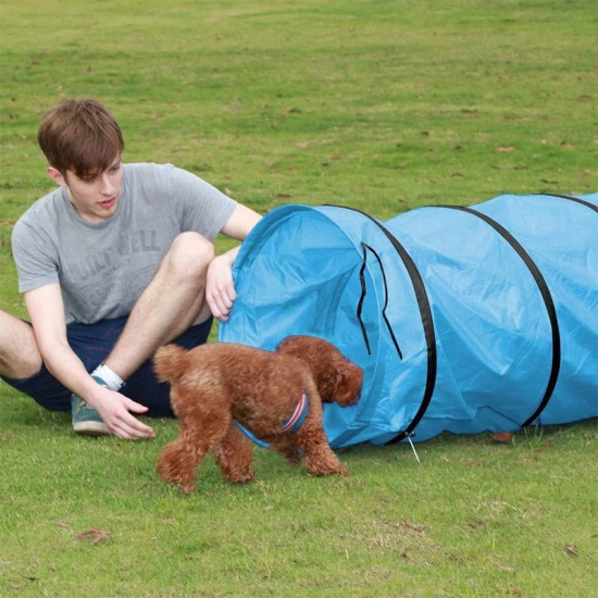 Immagine di Oxford Fabric Dogs And Cats Tunnel Interactive Pet Toy Collapsible Durable Portable Tear-Resistant Keep Your Pets Stimulated Active And Happy