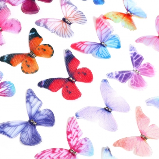 Immagine di Organza Eterea Farfalla Applique Multicolore Farfalla Trasparente 3cm x 2cm, 5 Pz