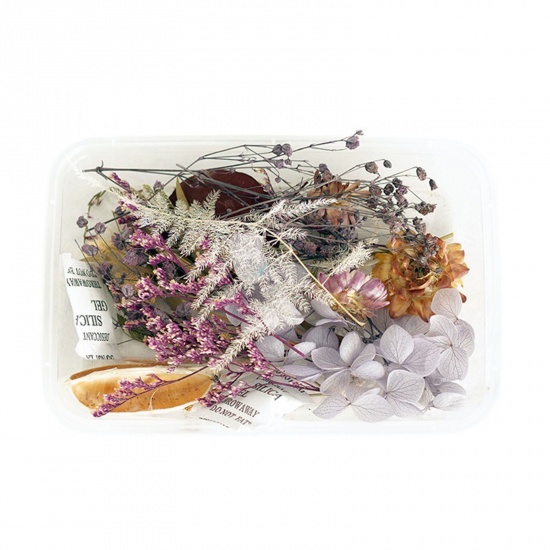 Immagine di Fiore Reale Secchi Artigianato in Resina Materiale di Riempimento Multicolore 12cm x 8cm, 1 Scatola
