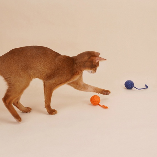 Bild von Bissfeste 3 in 1 Catnip Sisal Bälle Katzenspielzeug Durable Portable Tear-Resistant Halten Sie Ihre Haustiere stimuliert aktiv und glücklich