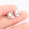 Image de Boucles d'Oreilles Puces en Acier Inoxydable Élégant Multicolore Feuille de Monstère 10mm x 9mm , Epaisseur de Fil: (18 gauge), 4 Paires