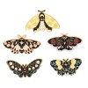 Image de Broche Epingle Insecte Papillon Doré Multicolore Émail 1 Pièce