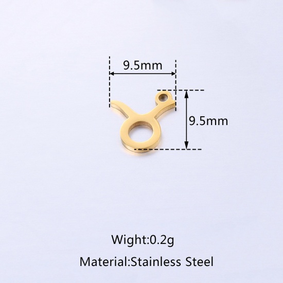 Picture of Stainless Steel Charms Multicolor Constellation Polished 9.5mm x 9.5mm, 5 PCs