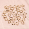 Immagine di 304 Acciaio Inossidabile Charms Geometrica Ritorto 5 Pz