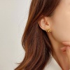 Immagine di Ecologico Semplice & Casual Elegante 18K Vero Oro Placcato 304 Acciaio Inossidabile Orecchini a Perno Per Donne 1 Paio