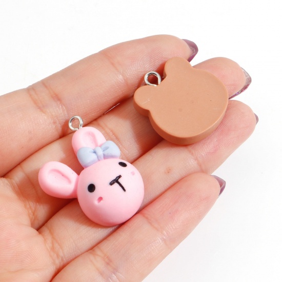 Picture of Resin Charms Animal Food Silver Tone Multicolor