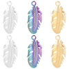 Bild von 304 Edelstahl Charms Feder Bunt 35mm x 15mm, 1 Stück