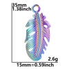 Bild von 304 Edelstahl Charms Feder Bunt 35mm x 15mm, 1 Stück