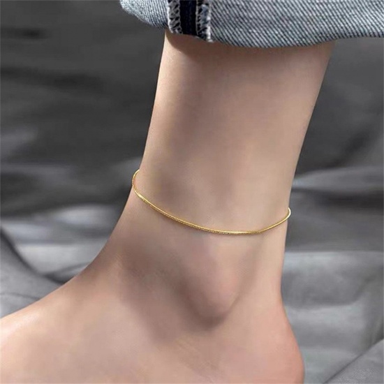 Picture of 304 Stainless Steel Simple Snake Chain Anklet Multicolor 20cm(7 7/8") long 