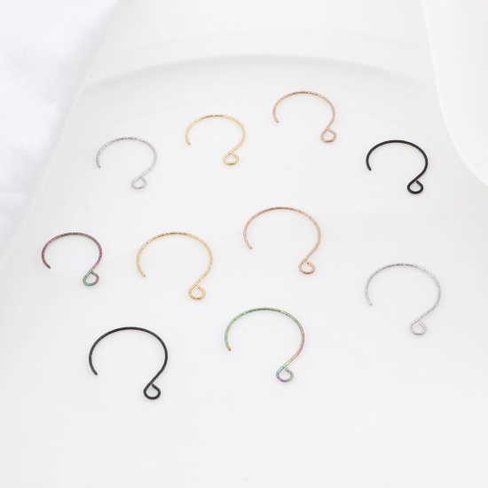 Picture of 316 Stainless Steel Ear Wire Hooks Earring Multicolor