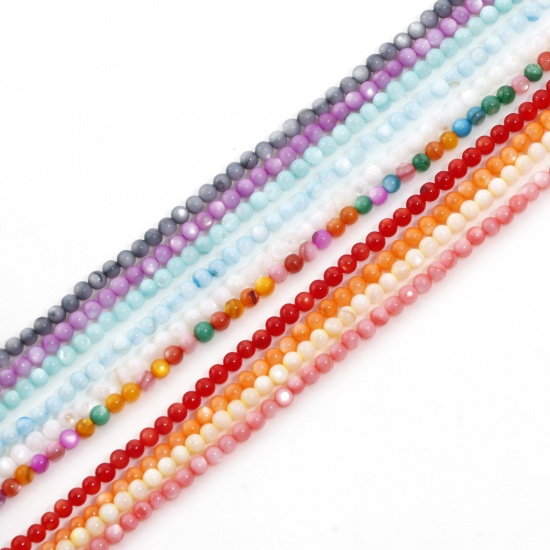 Immagine di Conchiglia Sciolto Perline per la Creazione di Gioielli con Ciondoli Fai-da-te Tondo Multicolore Circa 3mm Dia, Foro:Circa 0.4mm, 1 Filo