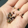 Bild von Umweltfreundliche Vakuumbeschichtung 304 Edelstahl Perlen für die DIY-Schmuckherstellung Sechseckiges Prisma Bunt 2mm x 2mm, Loch: ca. 1.2mm, 10 Stück