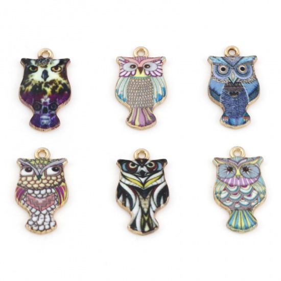Picture of Zinc Based Alloy Halloween Charms Gold Plated Multicolor Owl Animal Enamel 23mm x 13mm