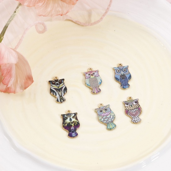 Picture of Zinc Based Alloy Halloween Charms Gold Plated Multicolor Owl Animal Enamel 23mm x 13mm