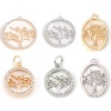 Imagen de Concha + Latón Colgantes Charms Ronda Oro Real Chapado Árbol Micro Pave Claro Circón Artificial 1 Unidad