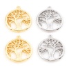 Immagine di Ottone Charms Tondo Vero Oro Placcato Albero Micro Spianare Trasparente Cubic Zirconiae 17mm x 15mm, 3 Pz