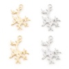 Immagine di Ottone Gioielli Oceanici Charms Corallo Vero Oro Placcato 24mm x 15mm, 2 Pz