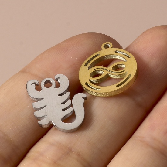 Imagen de 304 Acero Inoxidable Colgantes Charms Hueco 5 Unidades