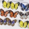 Imagen de 10 Unidades Acrílico Colgantes Mariposa Multicolor 3D 4.1cm x 3.2cm