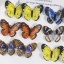 Image de 10 Pcs Pendentifs en Acrylique Papillon Multicolore 3D 4.1cm x 3.2cm