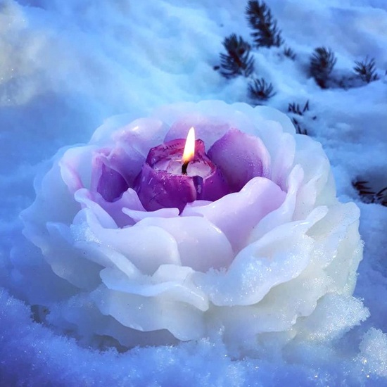 Bild von 1 Stück Silikon Harzform zum Selbermachen von Kerzenseife Blumen 3D Weiß