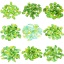 Bild von 50 Stück Muranoglas Charms Blätter Grün & Gelb Farbverlauf