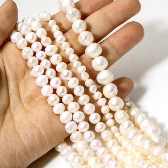 Immagine di 1 Filo (Grado B) Naturale Perle di Acqua Dolce Barocco Perline per la Creazione di Gioielli con Ciondoli Fai-da-te Irregolare Bianco Sporco