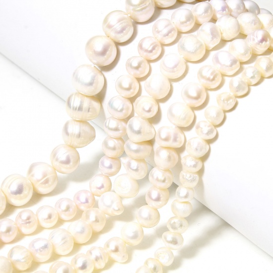 Immagine di 1 Filo (Grado B) Naturale Perle di Acqua Dolce Barocco Perline per la Creazione di Gioielli con Ciondoli Fai-da-te Irregolare Bianco Sporco