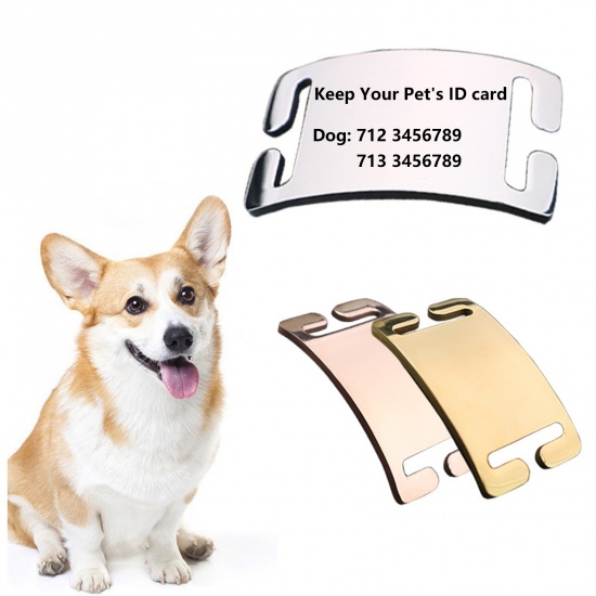 Bild von 2 PCs 304 Stainless Steel Pet ID Dog Collar Name Tag Blank Stamping Tags Connectors Charms Pendants Rectangle Mirror Polishing